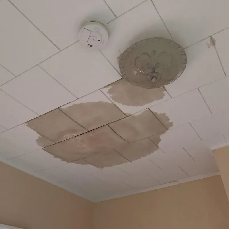 Ceiling Water Damage Repair in Metairie, LA